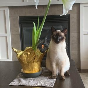 Meet your Posher, Heather